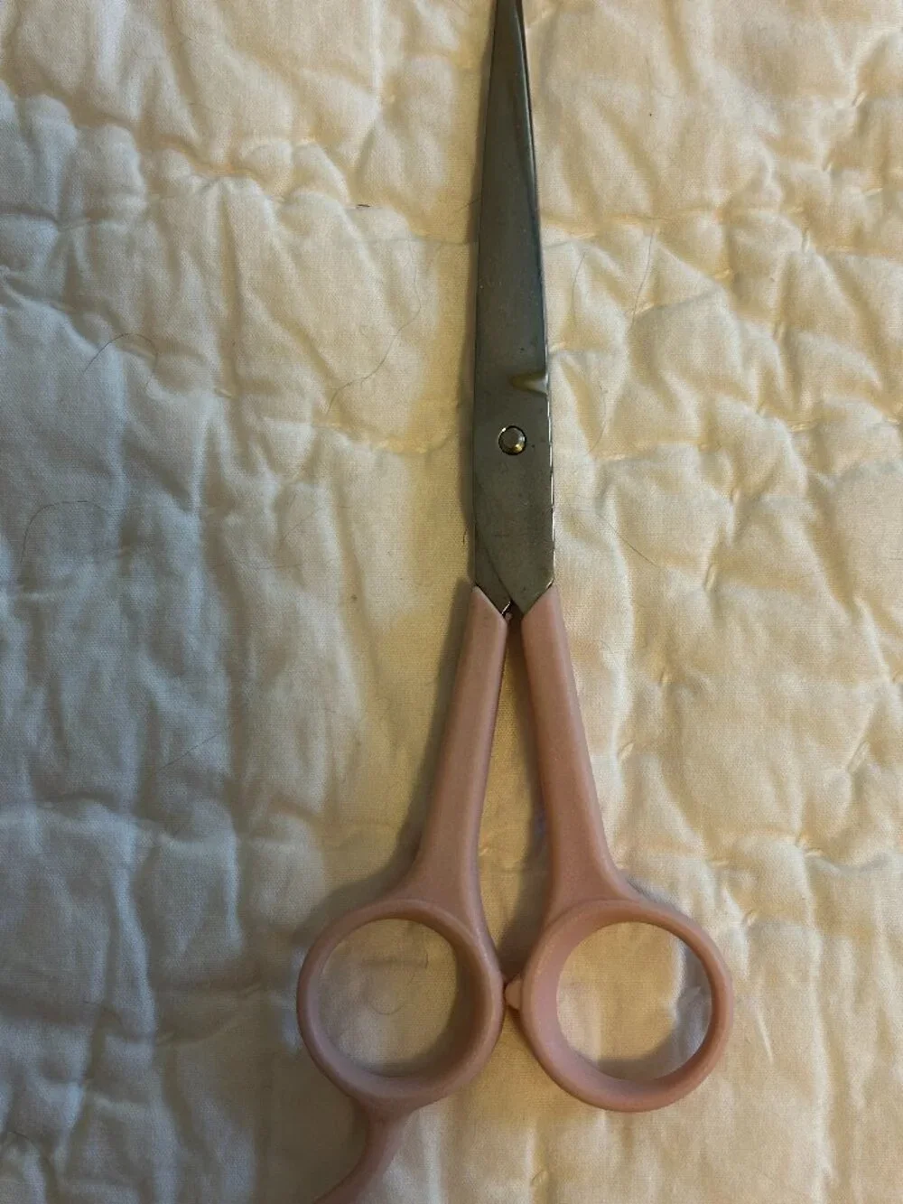 Pet Grooming Scissors Fur Cats Dogs